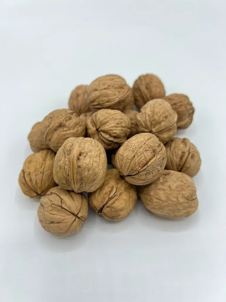 Nuez con cáscara