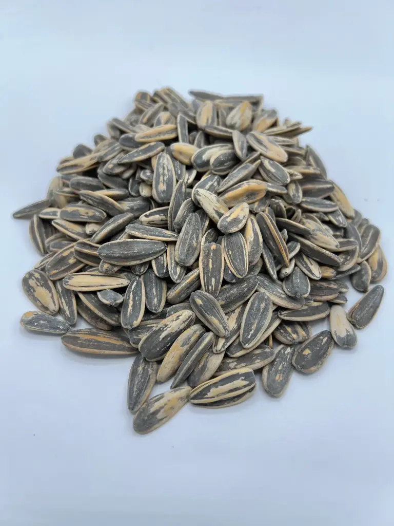 Pipón aguasal tostado