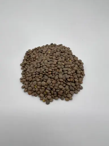 Lenteja pardina